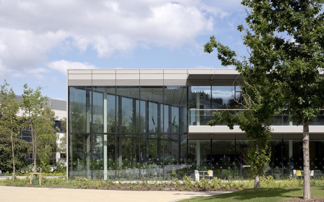 UCD President’s Club